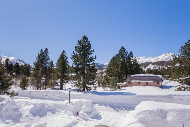 Mammoth Green # 105 Mammoth Lakes Bilik gambar